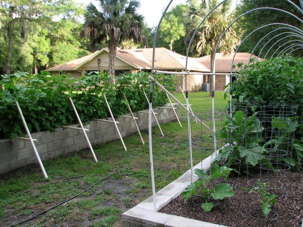 Back of house as seen from the raised bed garden area.