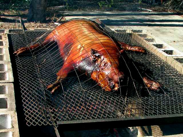 PigRoast_IMG_9850_cr